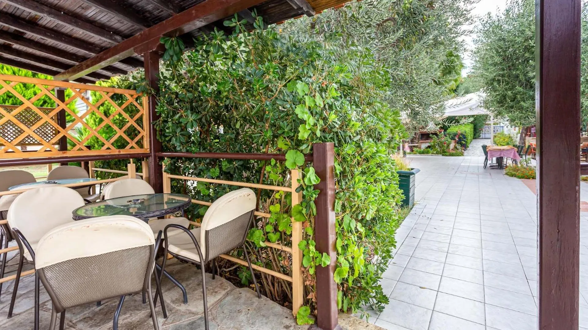 Olympic Bibis Hotel Metamorfosi  3*, Metamorfosi (Sithonia)