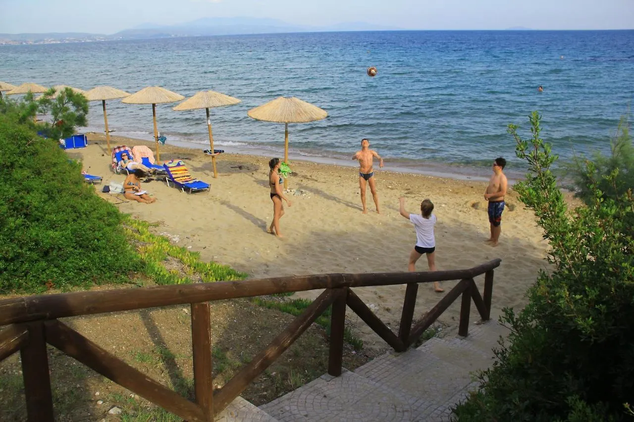 Olympic Bibis Hotel Metamorfosi  3*, Metamorfosi (Sithonia) Greece